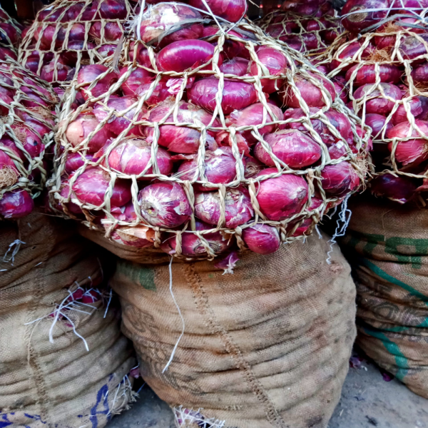 BAG OF ONIONS ( PURPLE FRESH)