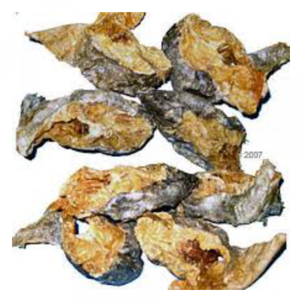 Dried Stockfish Medium 10pcs