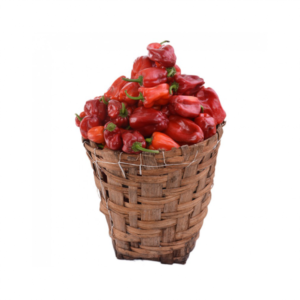 Fresh Pepper Rodo Small Basket 5 Ltrs