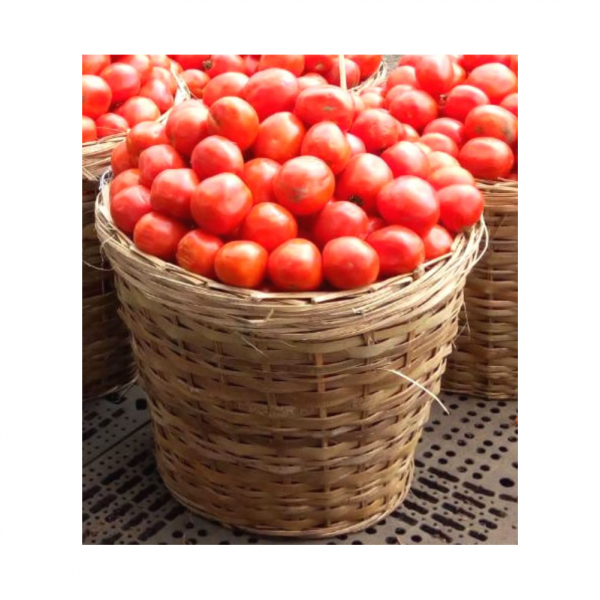 Fresh Tomatoes