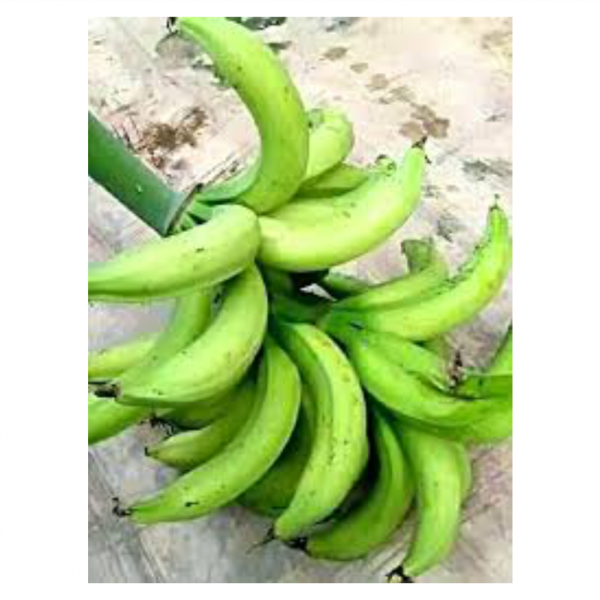 Unripe Plantain Medium Bunch